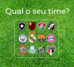 Qual é o seu time?